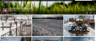Flickr дає користувачам по 1 терабайту для фото і змінює дизайн