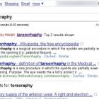 Google звинуватив Bing у копіюванні пошукових результатів