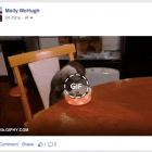 Facebook відкрив можливість розміщувати анімовані GIF-зображення (інструкція)