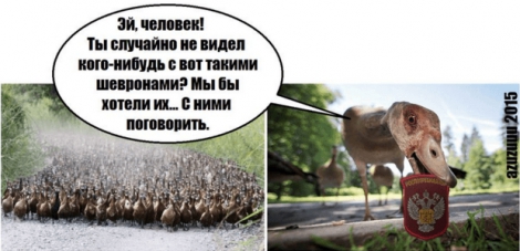 Українці в соцмережах глузують над Росією за страту гусей