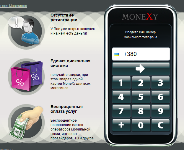 В Україні зареєстровано перші дві системи електронних грошей   Максі та MoneXy