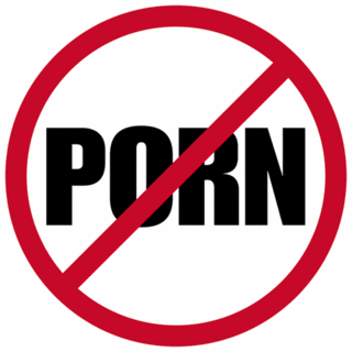 Українська міліція закрила торрент трекер Pornolab.net
